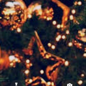 Meet your Posher, Alina